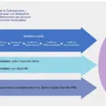Tarification SERAFIN-PH : nouveau modèle de financement du secteur du handicap