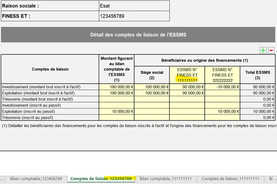 compte-de-liaison-finess-esat Exemple de compte de liaison pour un Finess Esat.