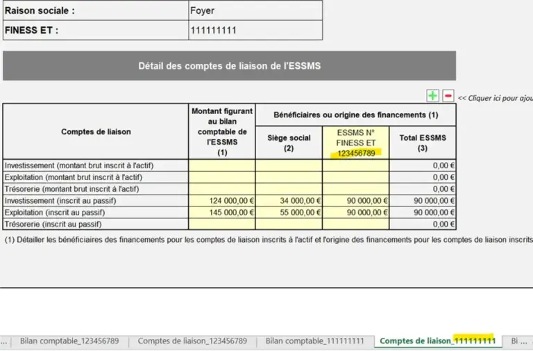Annexe Bilan comptable, une nouveauté de l’ERRD 2023 des ESSMS privés